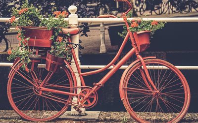 old red bike, bicycle with flowers, creative flower stand, street decoration