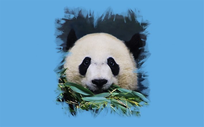 Panda, animales lindos, osos, arte