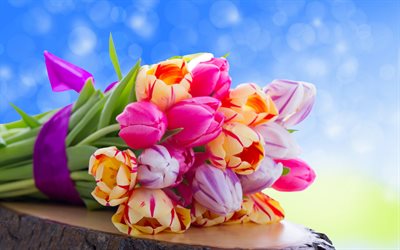 coloridos tulipanes, 4k, bokeh, primavera, flores, ramo de tulipanes, flores de colores, macro, los tulipanes