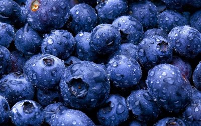 blueberry, berries, blueberry background, useful berries, blue berries, forest berries