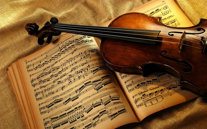 violin, musical notes, musical instruments