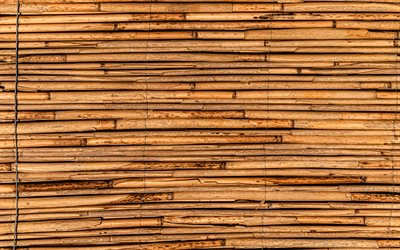 4k, bambu pinnar, n&#228;rbild, horisontella bambu pinnar, brun bambu, bambu k&#228;ppar, bambusoideae pinnar, makro, bakgrund med bambu, bambu