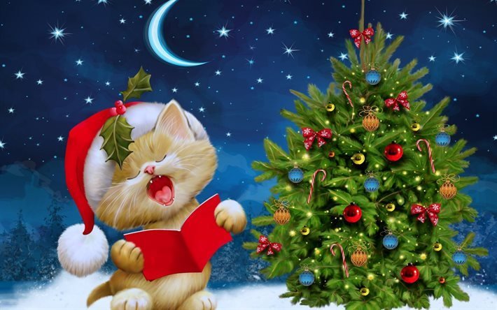 Christmas, cat, santa, christmas tree, winter, snow