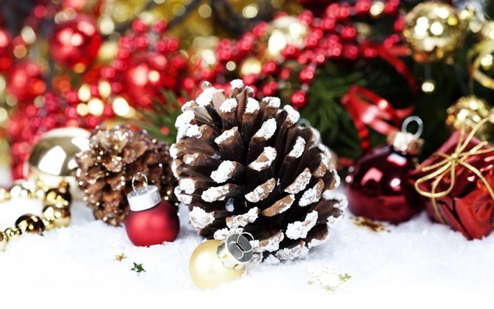Christmas, winter, pine cone, new year
