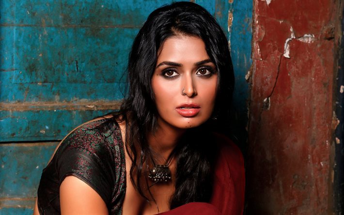 Meenakshi Dixit, Bollywood, intialainen n&#228;yttelij&#228;, sari, ruskeaverikk&#246;, kauneus