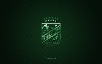 cdオリエンテペトロレロ, ボリビアサッカークラブ, 緑のロゴ, 緑の炭素繊維の背景, ボリビアプリメーラ部門, フットボール, サンタクルスデラシエラ, ボリビア, cdオリエンテペトロレロのロゴ
