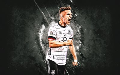 Joshua Kimmich, Germany national football team, German footballer, midfielder, white stone background, Germany, football