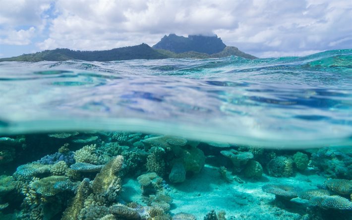 Bora Bora, coral, isla tropical, mar, bajo el agua, ola, Polinesia francesa, Islas de Sotavento