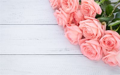 lila rosen, wei&#223;er bretthintergrund, strau&#223; von rosen, rosen auf holzhintergrund