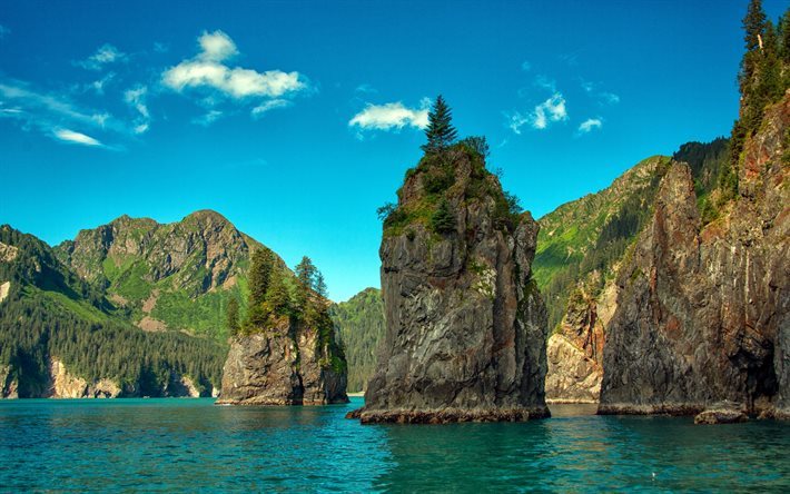 Kenai Fjords National Park, America, sea, cliffs, mountains, Alaska, USA