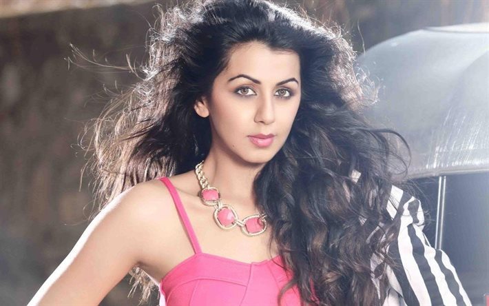 Nikki Galrani, Bollywood, l&#39;actrice indienne, brunette, beaut&#233;