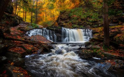 Cayuga Falls, waterfall, forest, autumn, Kitchen Creek, evening, sunset, Ricketts Glen State Park, Pennsylvania, USA