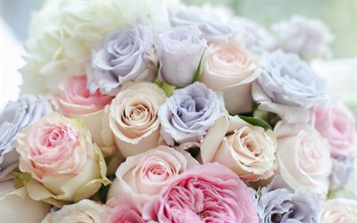 rosas coloridas, 4k, flores coloridas, bokeh, rosas, bot&#245;es, colorido buqu&#234; de rosas, lindas flores, planos de fundo com flores, bot&#245;es coloridos