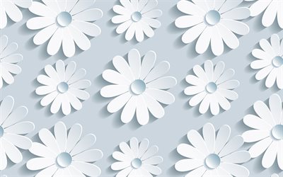 3D daisies, 4k, floral patterns, gray backgrounds, 3D flowers, gray abstract background, 3D flowers textures, white 3D flowers, 3D textures, background with flowers