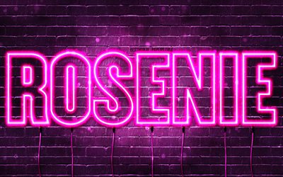 Happy Birthday Rosenie, 4k, pink neon lights, Rosenie name, creative, Rosenie Happy Birthday, Rosenie Birthday, popular french female names, picture with Rosenie name, Rosenie