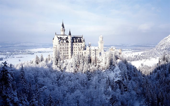 Neuschwanstein Castle, kış, orman, Bavyera, Almanya