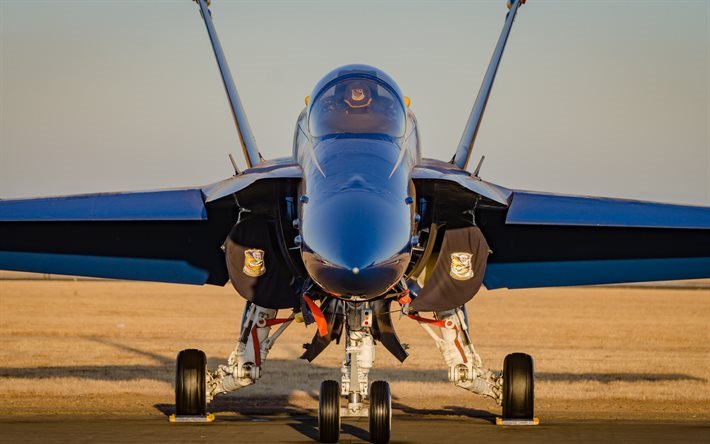 McDonnell Douglas F-18 Hornet, Mavi Melekler, F-18, Savaş&#231;ı, akrobasi takımı