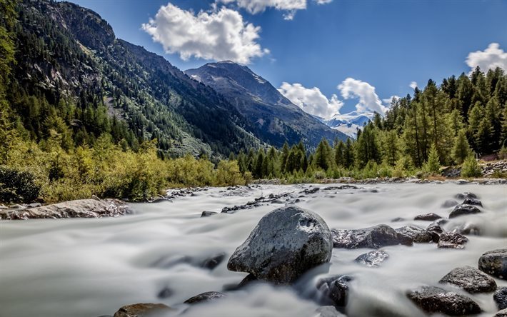 Ghiacciaio del Morteratsch, Montagna, foresta, fiume di montagna, Bernina, Alpi, Svizzera