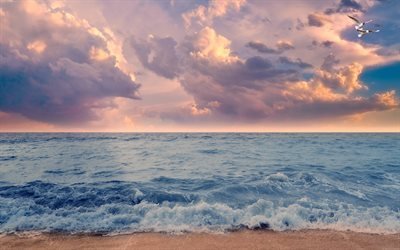 costa, seascape, p&#244;r do sol, mar, noite, ondas, nuvens, gaivotas