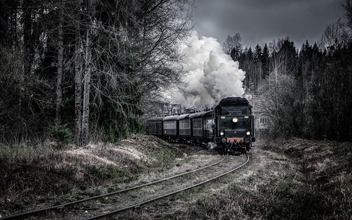 railroad, forest, locomotive, train