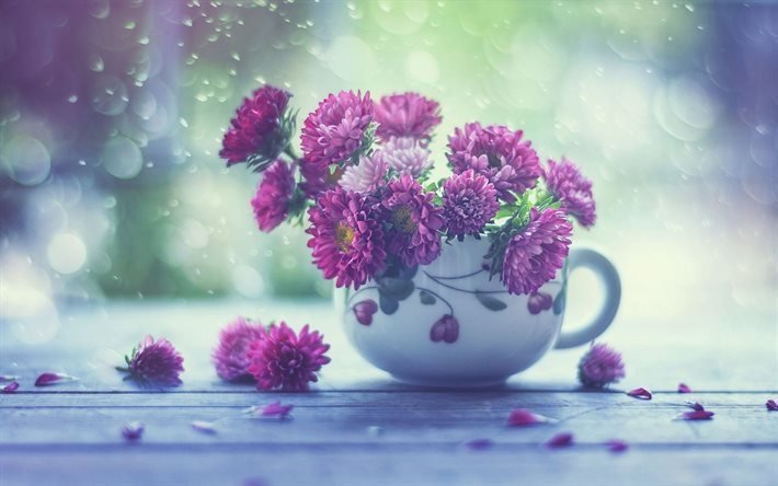 teacup, bouquet, flowers