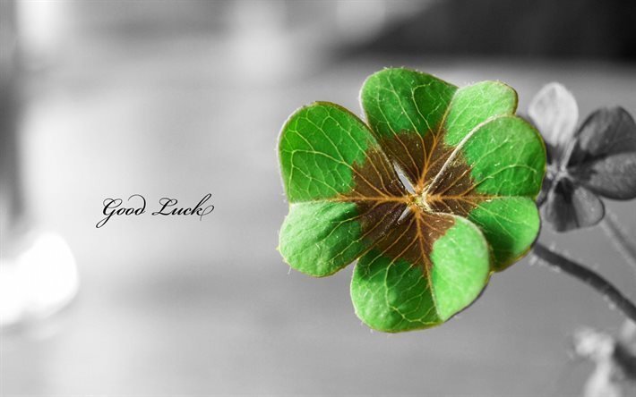 good luck, four-leaf clover, texture