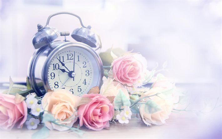 antiguo reloj despertador, tiempo, las rosas