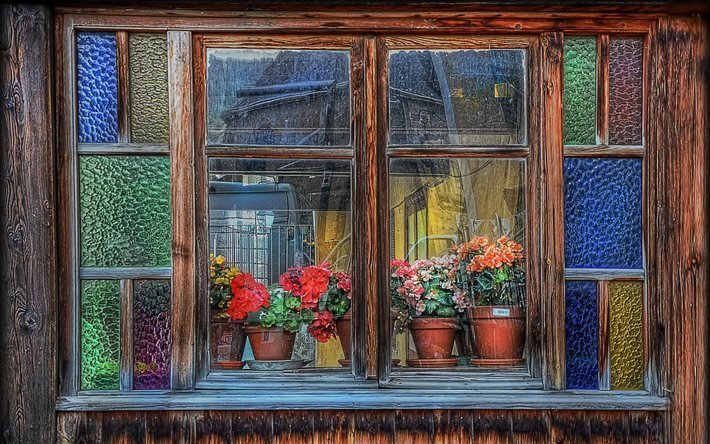 flores, ventana, marco de madera, interior, alf&#233;izar de la