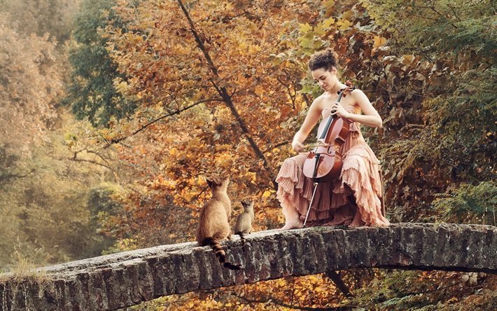 girl, autumn, stone bridge, cello