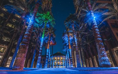 Phoenix, night, palm trees, Midtown Phoenix, buildings, alley, Arizona, USA