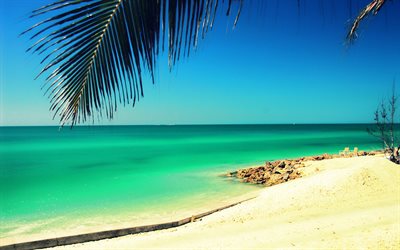 Siesta Key, Sarasota, oceano costa, ver&#227;o, praia, palmeiras, seascape, Fl&#243;rida, EUA