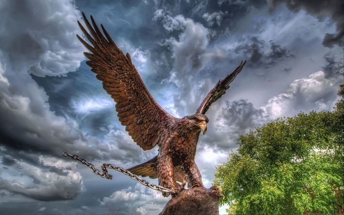 bronzo bird, eagle, robins air force base, warner robins, georgia