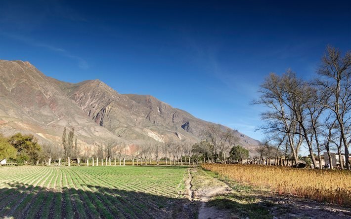 farmland, valley of quebrada de umaoka, argentina