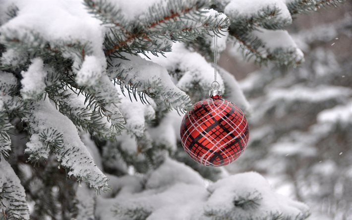 tree, snow, christmas ball, holiday