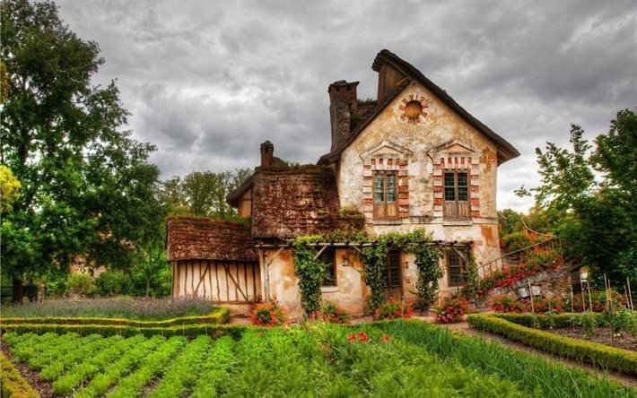 old cottage, garden, flowers, france
