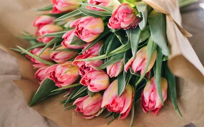 bouquet di tulipani rosa, fiori di primavera, tulipani, bella rosa, bouquet, fiori bellissimi
