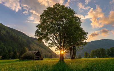 Ramsau, puesta de sol, el verano, la hermosa naturaleza, prados, Austria, Europa