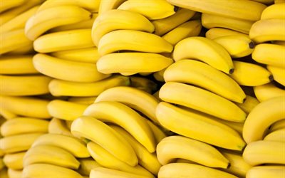 bananas, macro, fruits, ripe bananas, bunch of bananas, tropical fruits, fresh fruits