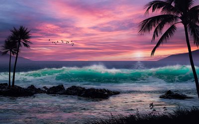 tropical islands, evening, sunset, ocean, waves, beach, pink sunset, summer travel, sea