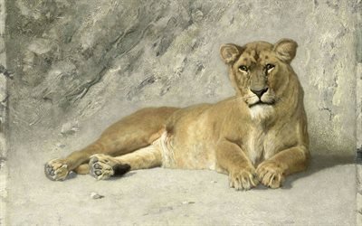 1885, descansando leoa, rijksmuseum, artista holand&#234;s, amesterd&#227;o