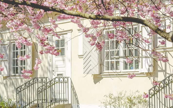 porch, wrought iron railings, interior, cherry blossoms