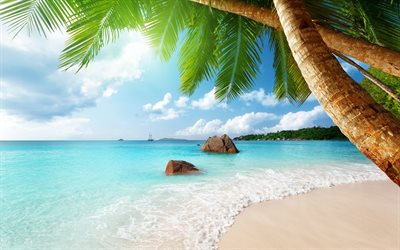 tropics, paradise, beach, palm trees, sunrays, sea, blue water, waves, travel concept