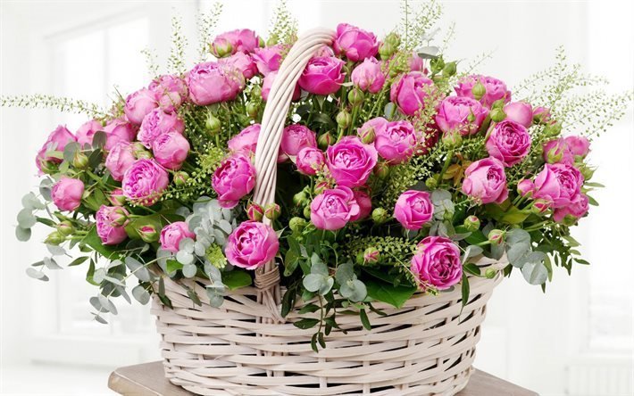 basket of roses, pink roses, basket of flowers, roses