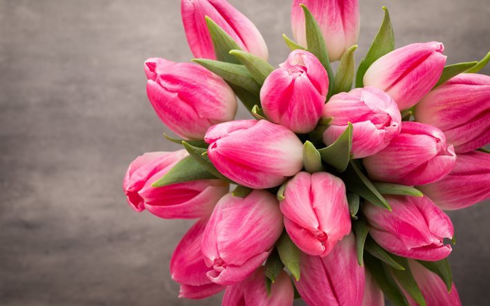 Tulipanes de color rosa, primavera, flores rosas, tulipanes, ramo de flores de primavera