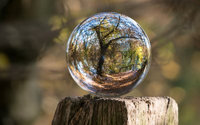 glass ball, bokeh, stump, blur, autumn, tree reflection