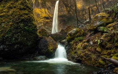 エロワ滝, 美しい滝, マッコードクリークフォールズ, 滝, 岩, コロンビアリバーゴージ, マルトノマ郡, オレゴン, 鹿