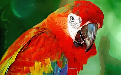 kızıl amerika papağanı, 4k, vekt&#246;r sanatı, kızıl amerika papağanı &#231;izimi, yaratıcı sanat, kızıl amerika papağanı sanatı, vekt&#246;r &#231;izim, soyut kuşlar, papağanlar, amerika papağanı