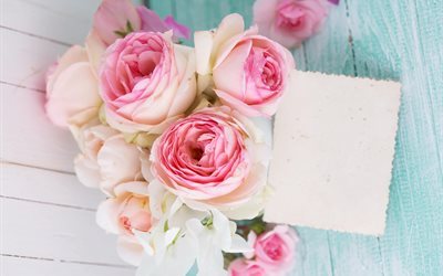 rosas de color rosa, postal, hermosas flores, flores de color rosa, rosa, las rosas