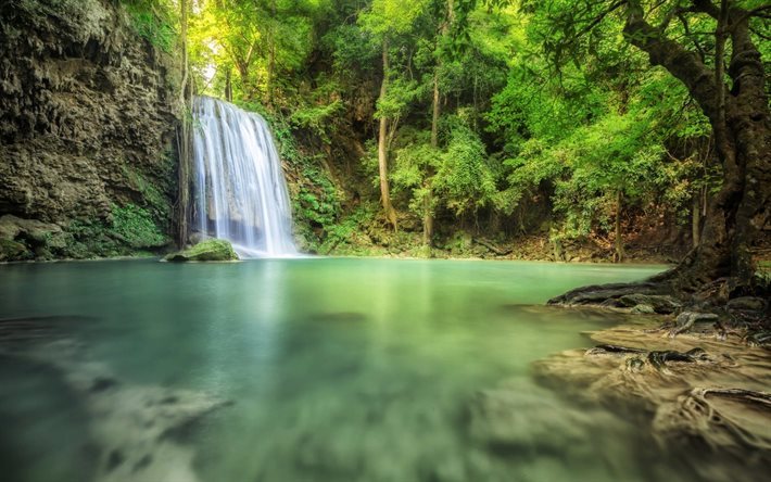 sj&#246;n, skogen, vattenfall, vackert landskap