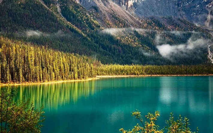 emerald lake, forest, yoho, beautiful lake, british columbia, mountains, canada